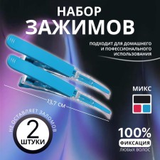 Hair clips, set - 2 pcs, 13.7 cm, color mix