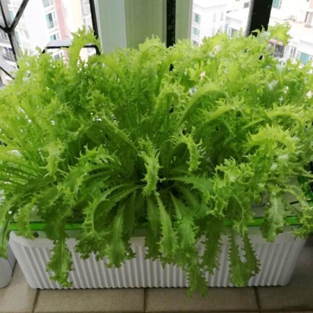 Hydroponic installation, 8 cells, hobbyfarm-4