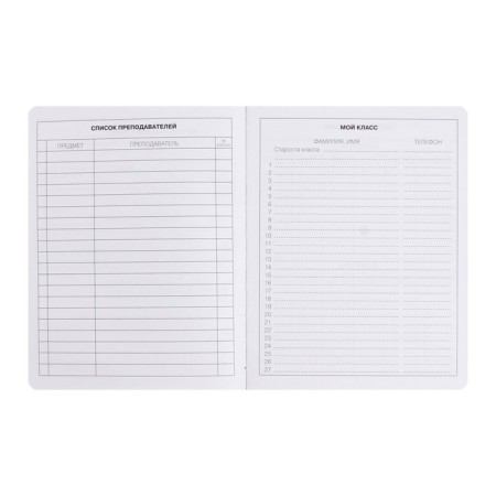 Diary Artificial leather 1-11 grade, 48 sheets, cage, hard cover, my choice. No. 9, foil embossing, rounded corners, lies, block 70g/m²-3