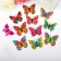 Magnet Plastic "Butterfly Rainbow" double wings, mix 6.2x, 7.1 cm