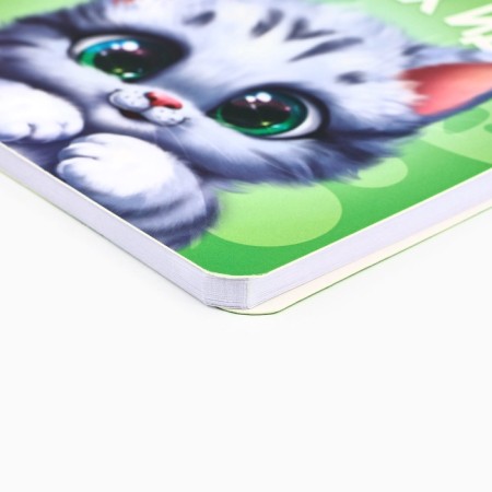 Gift set of notebook 48 sheets + handle "Kotik"-3