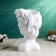 Figure Kashpo "Bust of David" 18x16x26cm