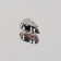 Rhinestones are sewing "drop", in a frame, with holography, 6 × 10 mm, 50 pcs
