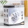 Set for glass spices on the stand "Modern", 23 × 9 × 22 cm, 90 ml, 4 × 9.5 cm, 6 pcs