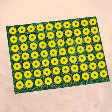 Kuznetsov applicator "beloved grandmother", 70 spines, film, 23 x 32 cm-3