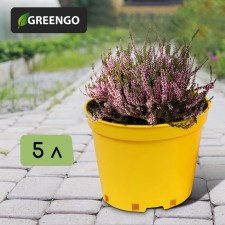 Горшок для рассады, 5 л, d = 22 см, h = 18 см, жёлтый, Greengo