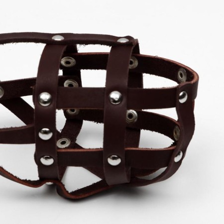 Muzzle No. 2, length on the nose 10 cm, muzzle girth 28 cm, (like, puppy of shepherds), brown-2