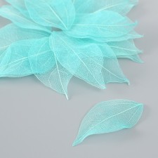 Leaves sidelled for creativity 