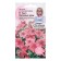 Flowers of petunia "tango salmon veins F1", 10 pcs