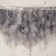 Tesma with feathers turkey, 13-17 cm, 5 ± 0.5 m, gray color