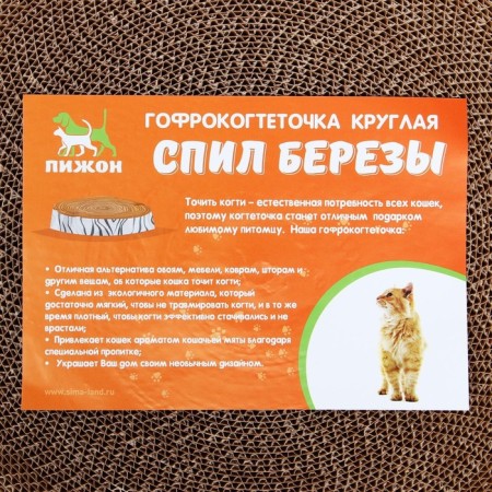 Corpushes "Pijon" Round "Birch Bereza, with impregnation, 35 x 2.5 cm-6