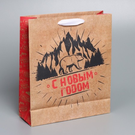 Craft vertical “Hard Winter” package, M 26 x 30 x 9 cm, New Year-2