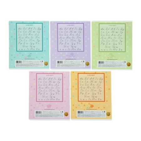 Notebook for registrations 12 sheets in a frequent scythe ruler with an additional line "Vyazniki", an offset block, mix-2