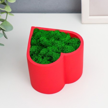 Kashpo concrete "heart" height 6.5 cm red with moss (moss green stabilized)-1