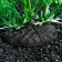 Artificial aquarium plant, 10 cm, green