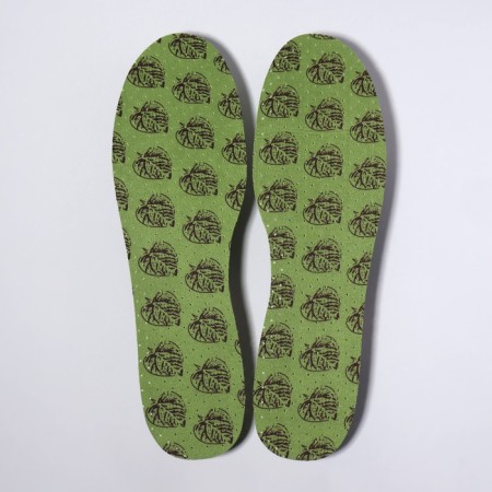 Shoes for shoes, antibacterial, moisture, universal, 36-46 rr, pair, green color-1