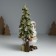 Polystone souvenir "Council in a sweater with rhombuses, with a beautiful Christmas tree" 13.6x8x20.5 cm