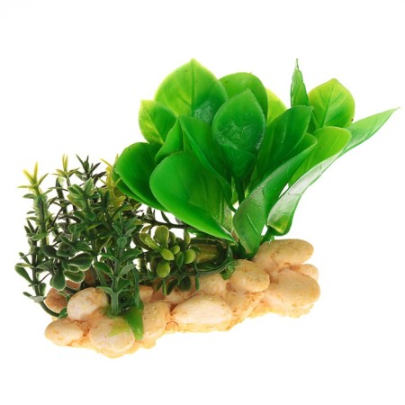 Aquarium artificial aquarium plant on a stone under stone, 12 x 12 x 6 cm-2