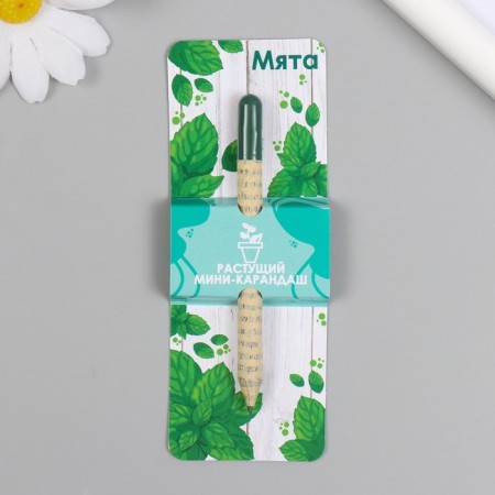 Growing gift pencils Mini "Mint"