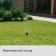 Distant sprayer, 12 nozzles, under connector, peak, plastic, Greengo