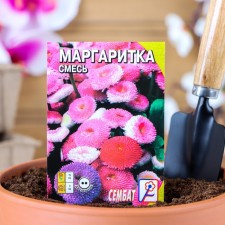 Flower seeds Margarita 