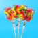 Caramel Lollice "Flowers" on a stick, 30 g