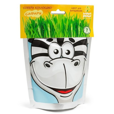 Happy Plant growing sets "Zebra"-4