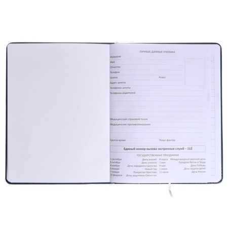 Universal diary for grade 1-11, solid cover, artificial leather, blue cover, lies, 80 g/m2-3