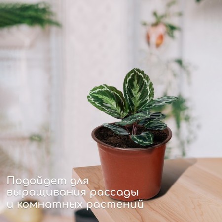 Pot for seedlings, 2 l, d = 16.5 cm, h = 13.5 cm, Greengo-2