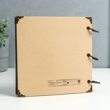 Photo album on rings 30 sheets "Dandelion" Black sheets 18.5x18.5 cm-3