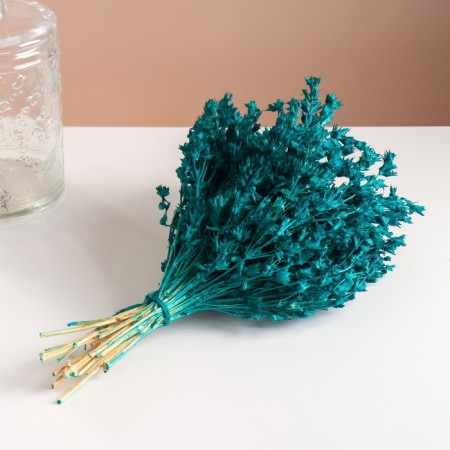 Set of dried flowers "chandra", banch length 40 (+/- 6 cm), emerald-4
