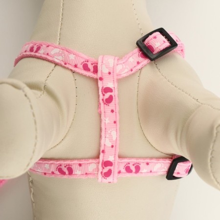 Set "Color Transes", leash 120 x 1 cm, fire 23-35 cm, pink-4
