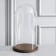 Glass dome -slosh on a wooden stand "Vincent - 1", 30x15 cm, brown