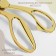 Clothing scissors, mowed blade, 9.5 ", 24 cm, gold color