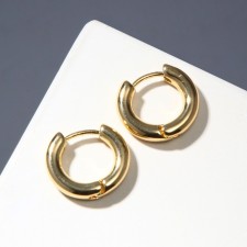 Ring Earrings 