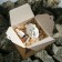 Fragrance to the deflector ceramic lion, Grand Caratt + aromaticom