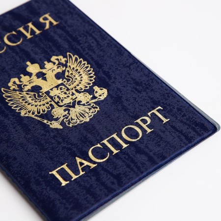 Cover for passport, blue color-3