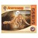 3D-model team wooden miracle-brown "Apatosaur"