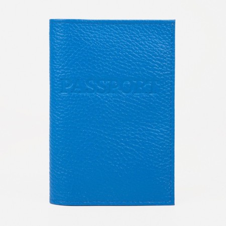 Cover for passport, blue color