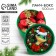 New Year. Lunch-Box "Green Snake", 500 ml