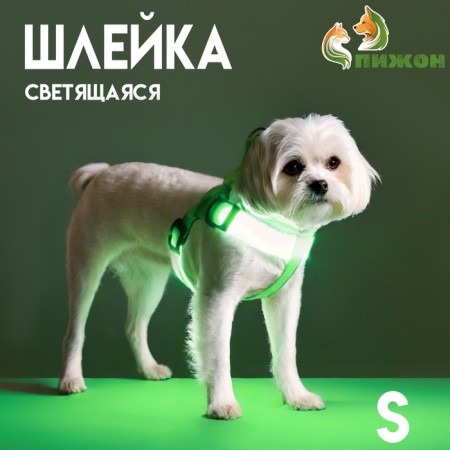 Shleka luminous size s, sling 2.5 cm, og 32-40 cm, 3 glow modes Green