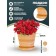 Pot for flowers and plants with a pallet, 3l new terracotta 18x18x20cm