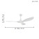 Ceiling fan with lamp Cirali 52, LED, 1x15W, white