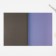 Colored paper one -sided A4 “September 1: Raccoon” 8 sheets 8 colors newspaper, density 45 g/m², density 80 g/m².