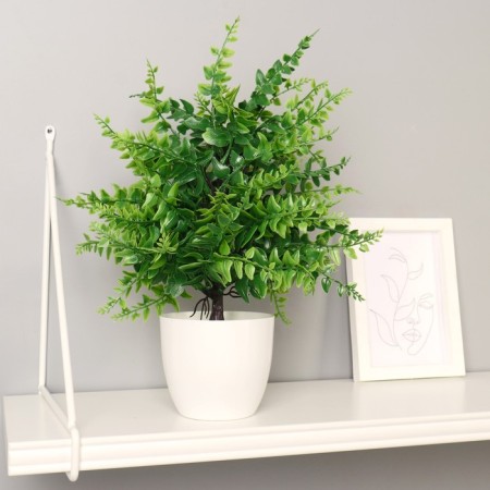 Bonsai in the Pot "Nefrolepsis" 9x30 cm