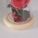 Nightlight “Rose” LED 3HAAA Red 9.5x9.5x14cm