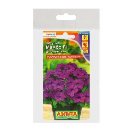 Petunia Seeds "Mambo" F1 purple multi -flowered, set 5 pcs-2