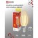 LED lamp In Home, E14, C37, 7 W, 630 LM, 3000 K, warm white, transparent