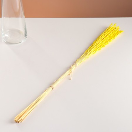 Set of dried flowers "Raigrace", banch 21 pcs, length 60 (+/- 6 cm), yellow-3