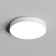 DK2851-WH TAB Light Light with LED D212MM 220V 36W 3000/4000/6500K IP20 white aluminum